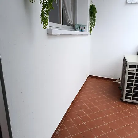 Ancá Salvador Ronda