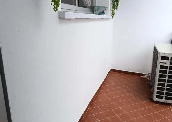 Ancá Salvador Ronda